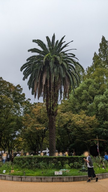 PXL_20251018_022221966