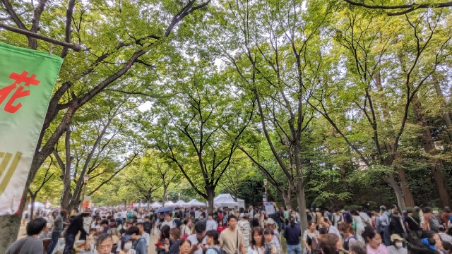 PXL_20251018_023139492